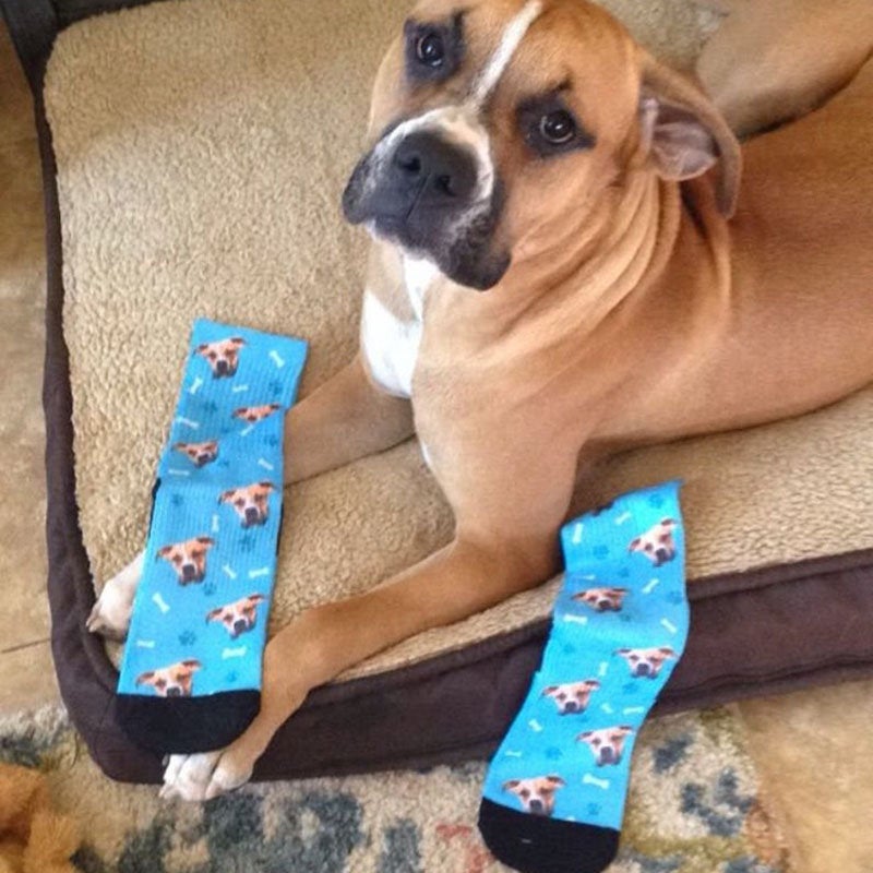 Custom Dog Socks, Personalized Pet Photo Socks, Customized Cute Dog Fa –  LightningStore