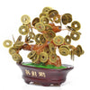 Chinese Feng Shui Money Tree for Attracting Wealth and Abundance - 36 Chinese Copper Coins - Good Luck Charm - New Year Gift Prosperity