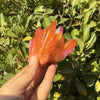 Orange Aura Natural Quartz Crystal Cluster- Minerals Quartz Cluster Point - Raw Clear Energy Quartz Cluster Healing Stone Chakra Reiki Decor