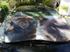 Custom Car Sun Shade - Personalized Windshield Cover Sunshade - Customizable with your Picture, Logo, Image, Text - Gift for Car Lovers