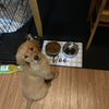 Custom Dog Mat, Pet Feeding Placemat, Personalized Dog Bowl Mat, Puppy Placemat, Pet Food Mat, Neutral Gray Blue Pink Pet Bowl Mat, Pet Gift