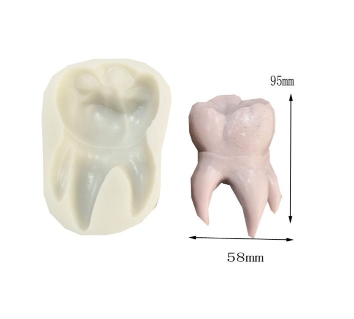  Teeth Mold