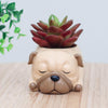 Limited Edition Sleeping Pug Flower Pot