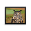 Starring Owl Framed Photo Poster Wall Art Decoration Decor For Bedroom Living Room