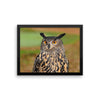 Starring Owl Framed Photo Poster Wall Art Decoration Decor For Bedroom Living Room