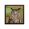 Starring Owl Framed Photo Poster Wall Art Decoration Decor For Bedroom Living Room