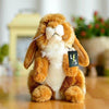 Toy - LightningStore Adorable Cute Orange Rabbit Bunny Stuffed Animal Doll Realistic Looking Plush Toys Plushie Children's Gifts Animals